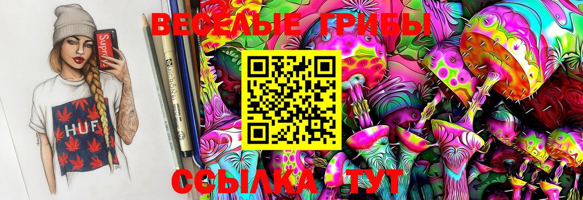 Сокол  Галлюциногенные грибы Magic Shrooms  Вход с VPN  Псилоцибиновые грибы GOLDEN TEACHER 